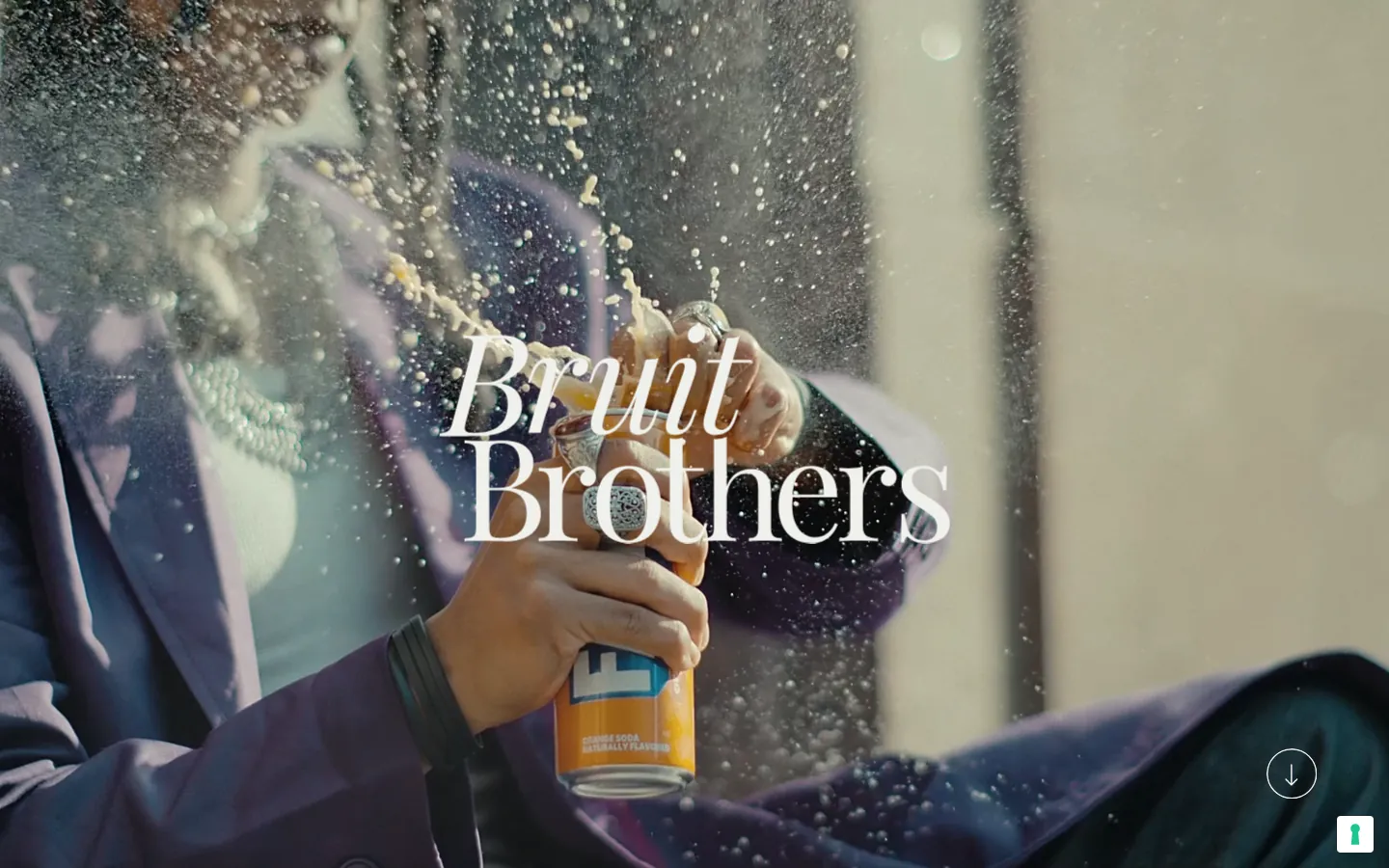 Homepage of Bruit Brothers (bruitbrothers.com)